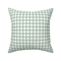 baby blue gingham small