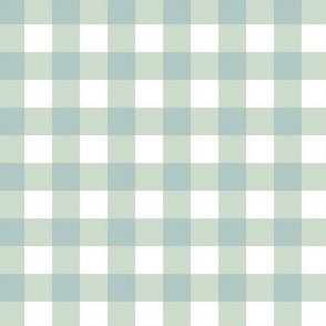 baby blue gingham small