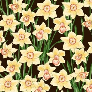 woodland daffodils - dark brown