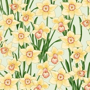 woodland daffodils - mint green