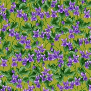 woodland violets - pistachio green