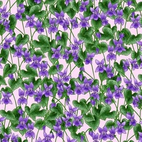 woodland violets - pink