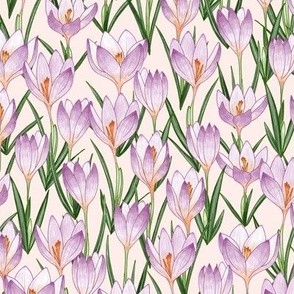 woodland crocuses - light peach