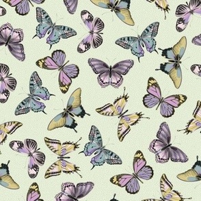 spring pastel butterflies - light mint green