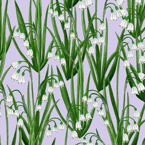 woodland snow bells - lilac