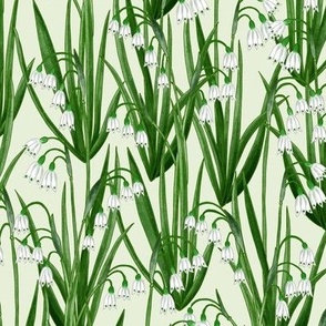 woodland snow bells - light mint green