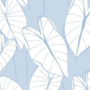 large poi-fect elephant ear leaf_ soft sky blue