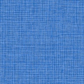 Solid Blue Plain Blue Natural Texture Small Stripes and Checks Grunge Subtle Sapphire Blue 527ACC Subtle Modern Abstract Geometric