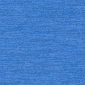 Solid Blue Plain Blue Horizontal Natural Texture Celebrate Color Subtle Sapphire Blue 527ACC Subtle Modern Abstract Geometric