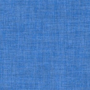 Solid Blue Plain Blue Natural Texture Celebrate Color Subtle Sapphire Blue 527ACC Subtle Modern Abstract Geometric