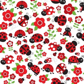 Ladybugs