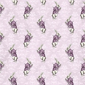 lilac rabbit