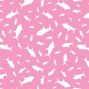 Sharks Frenzy Pinks
