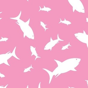 Sharks Frenzy Pinks - Large Scale