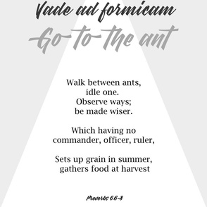 Vade-ad-formicam_ant_gray
