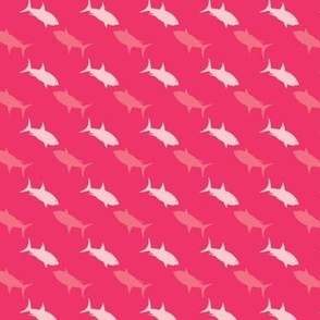 Shark Streams Pinks