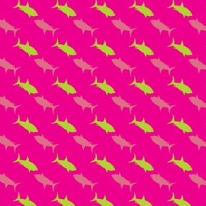 Shark Streams Hot Pink and Green