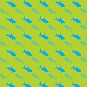 Shark Streams Lime Green and Blue