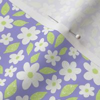 Ditsy Floral Daisy Pastel Comforts