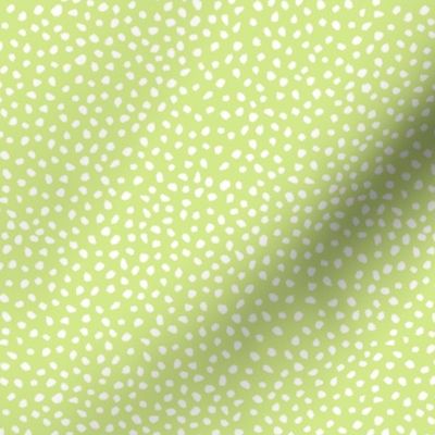 Guinea Peep Polka Dots on Honeydew