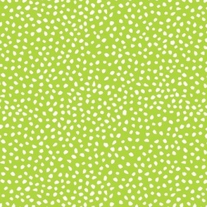 Guinea Peep Polka Dots on Petal Lime