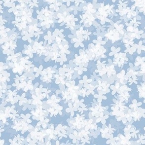 Hydrangeas in White on Sky Blue