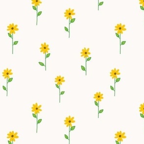 Color Pop Daisy