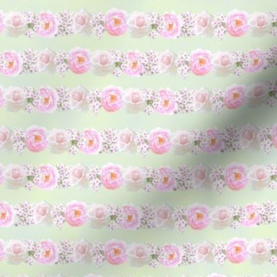 Pink Rose Stripe green