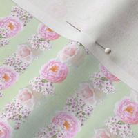 Pink Rose Stripe green