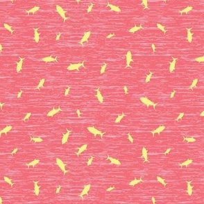 Shark School Pink and Yellow