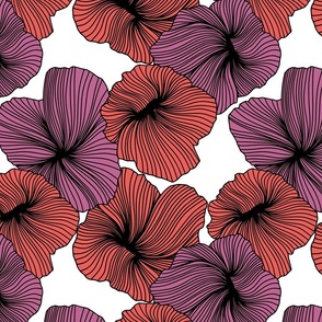 Bold Line Art Floral in Coral and Peony on White Background