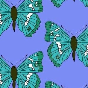Butterfly with blue and green
