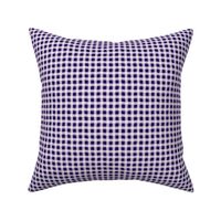 Eggplant Purple Wonky Gingham