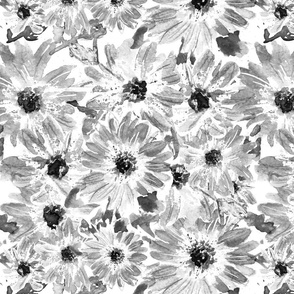 watercolour daisies - black and white