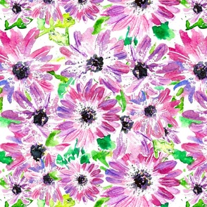 watercolour daisies - pink and green