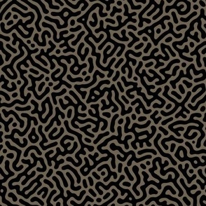 Turing Pattern I: Black on Bark