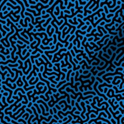 Turing Pattern I: Black on Bluebell