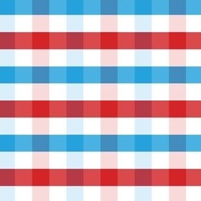 Red White & Blue Plaid (small)