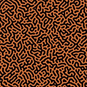 Turing Pattern I: Black on Carrot