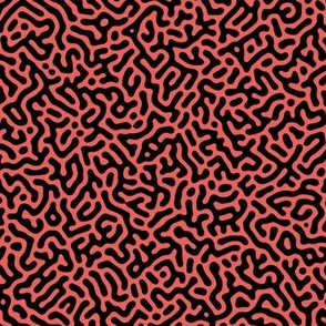 Turing Pattern I: Black on Coral