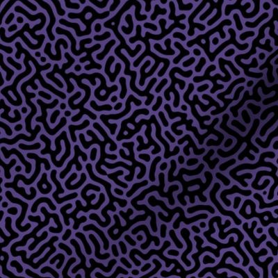 Turing Pattern I: Black on Grape