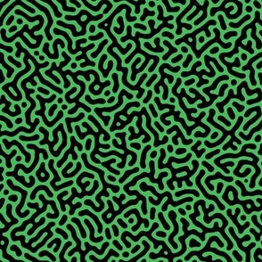 Turing Pattern I: Black on Grass