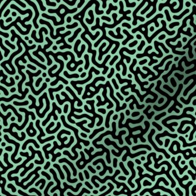 Turing Pattern I: Black on Jade