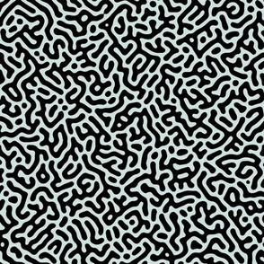 Turing Pattern I: Black on Sea Glass