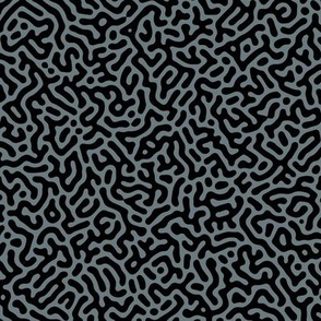 Turing Pattern I: Black on Slate