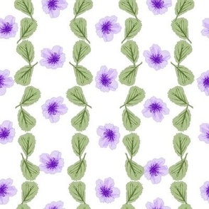 Jacaranda Blossom - Stripe of blossoms in tones of lavender with green leaves on a white background.