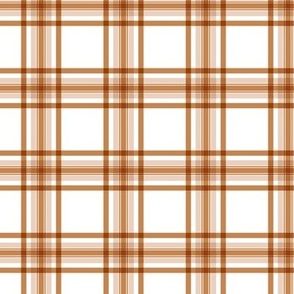 Spring summer tartan plaid designs vintage style seventies gingham checkered trend burnt orange rust on white