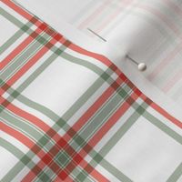 Spring summer tartan plaid designs vintage style seventies gingham checkered trend christmas red green on white