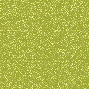 Random dots polka dots on green