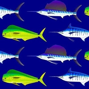 Mahi Marlin Sailfish on night blue 4in